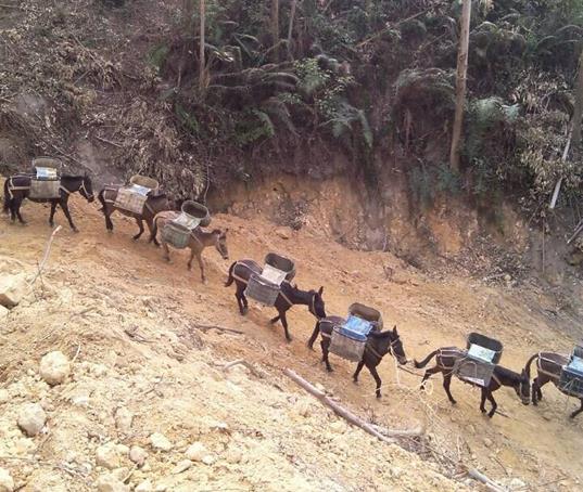 汕头山路马帮运输