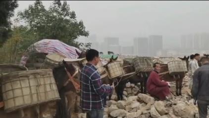 汕头骡马山区运输