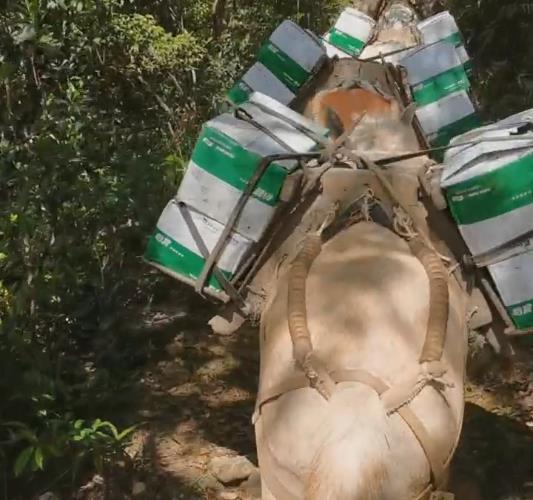 汕头骡马山路运输