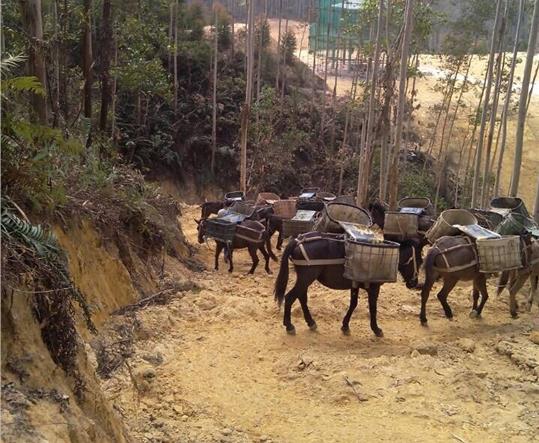 汕头马帮山路运输