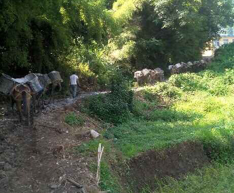 汕头马帮运输队