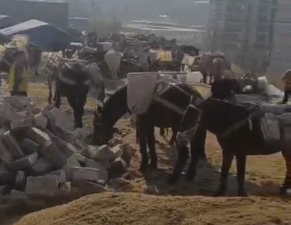 汕头马队山路运输