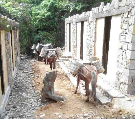 汕头马队运输队