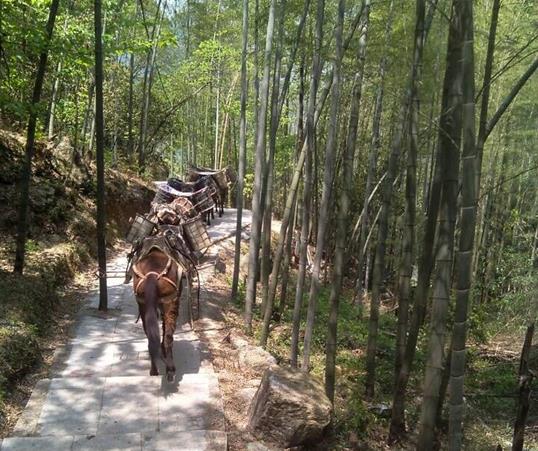 汕头山路马队运输