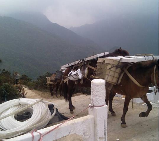 汕头山区马帮运输